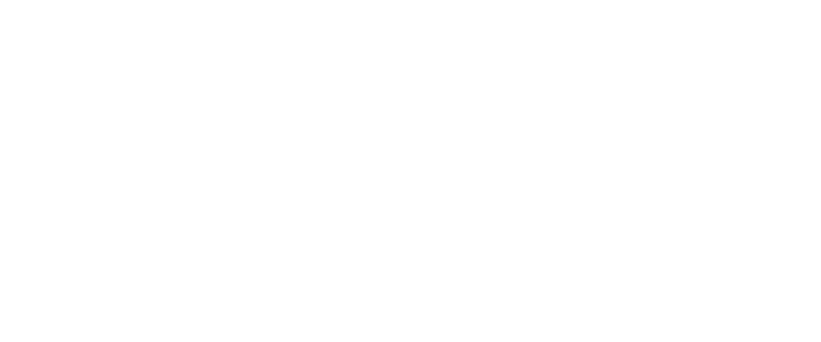 ViViBanca S.p.A. | ViViConsumer S.r.l. | I.Fi.Ve.R. S.p.A.